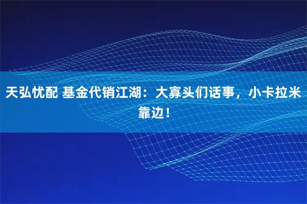 天弘忧配 基金代销江湖：大寡头们话事，小卡拉米靠边！