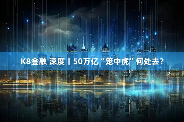 K8金融 深度丨50万亿“笼中虎”何处去?