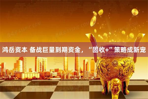 鸿岳资本 备战巨量到期资金，“固收+”策略成新宠