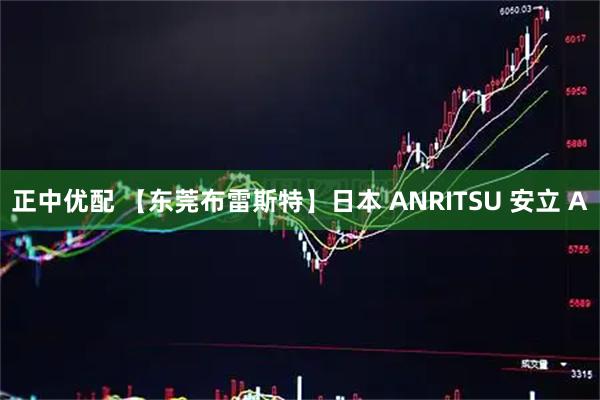 正中优配 【东莞布雷斯特】日本 ANRITSU 安立 A