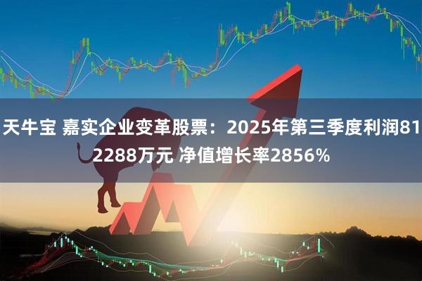天牛宝 嘉实企业变革股票：2025年第三季度利润812288万元 净值增长率2856%