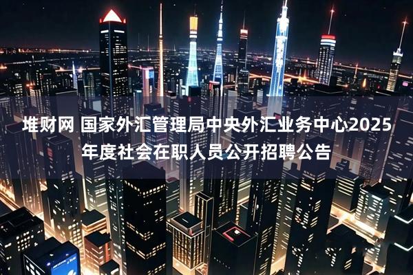 堆财网 国家外汇管理局中央外汇业务中心2025年度社会在职人员公开招聘公告
